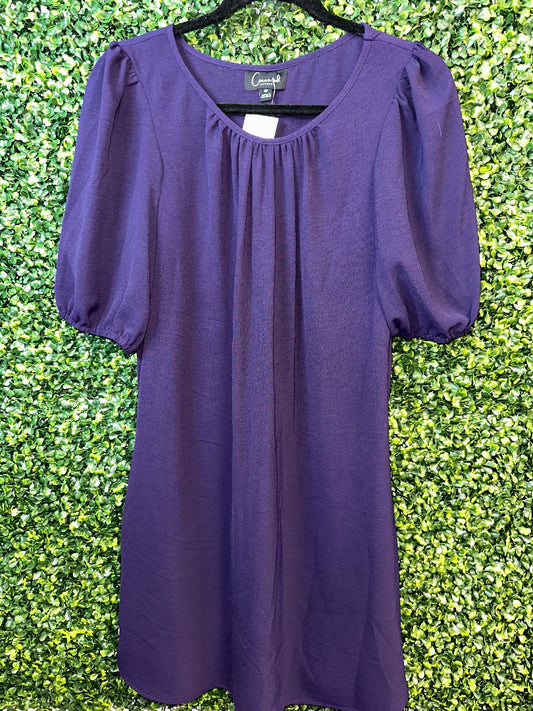 Purple  NWT Connected Apparel Dress, 4P